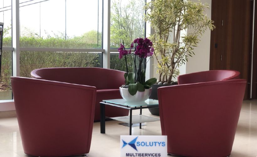 Services Généraux - Location Florale - SOLUTYS Facilities, votre spécialiste dans la gestion des installations