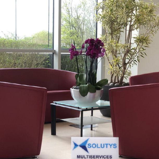 Gestion des espaces - Location Florale - SOLUTYS Facilities, votre spécialiste dans la gestion des installations